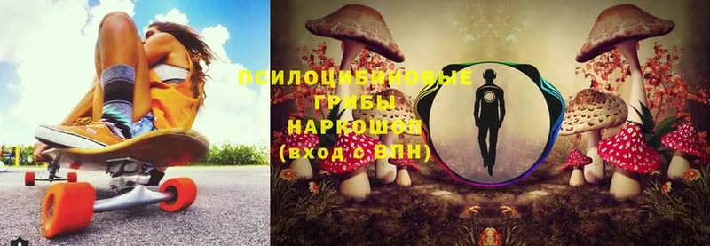 нарко площадка телеграм  Армянск  Галлюциногенные грибы Magic Shrooms  купить наркоту 